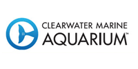 Clearwater Marine Aquarium